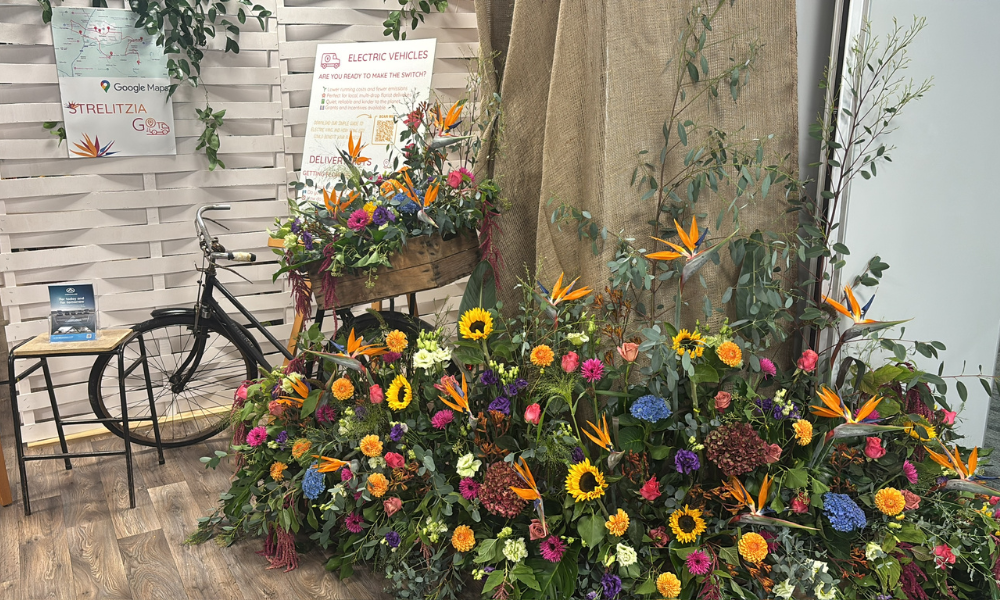 Large colourful flower installation with bike 